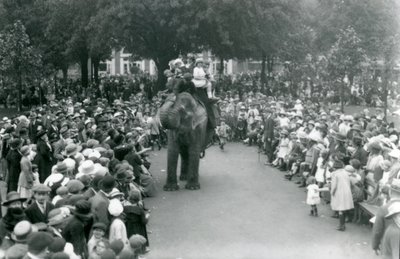 Crowds of Visitors Watch an Elephant Ride at London Zoo, August Bank Holiday by Frederick William Bond